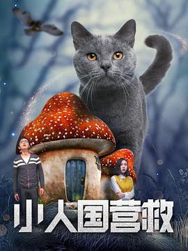 麻豆射区